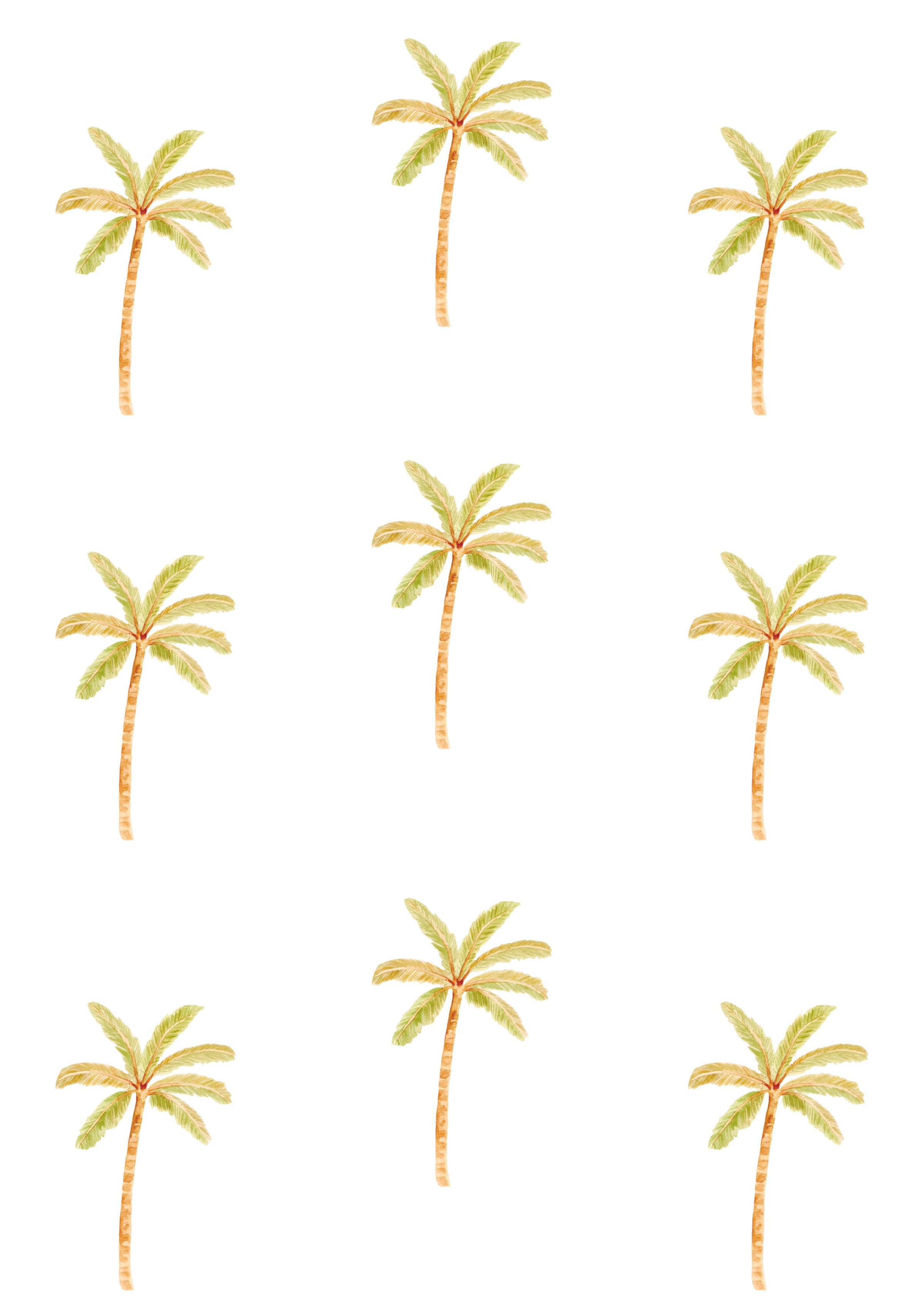 Mini Sailah Palms - Green