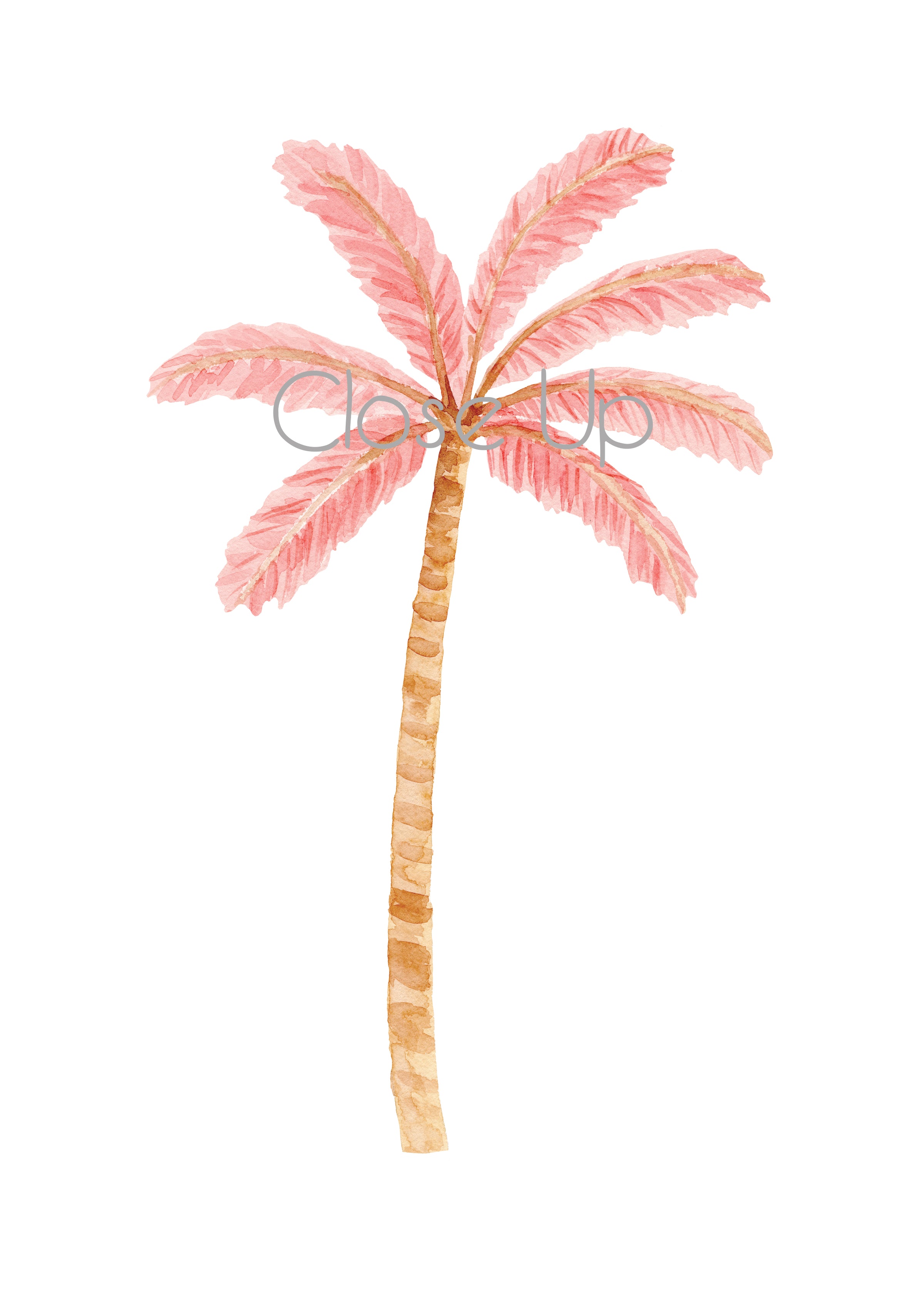 Happy Palms - Pink Mixed