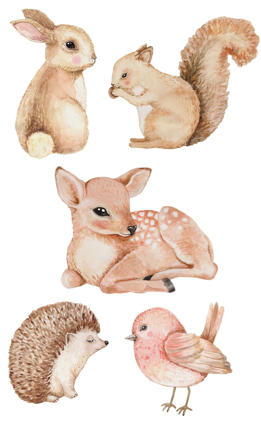 Woodland Animal Wall Stickers - Set & Individual