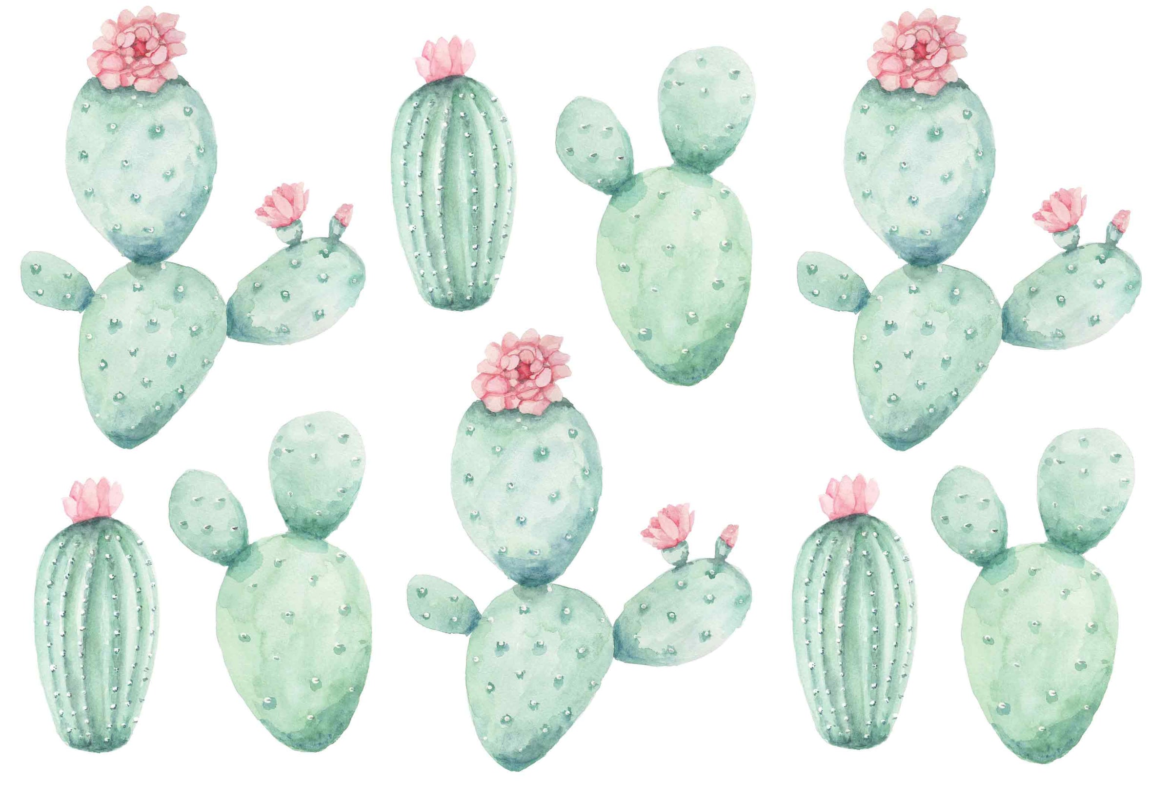 Flowering Cactus Wall Stickers